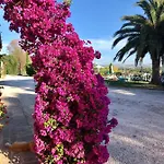 Fontebella Bed and Breakfast Montemarciano