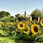 Fontebella Bed and Breakfast 3*