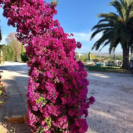 Fontebella فندق مبيت وإفطار مونتيهمارثيانو