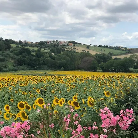 Fontebella Nocleg ze śniadaniem