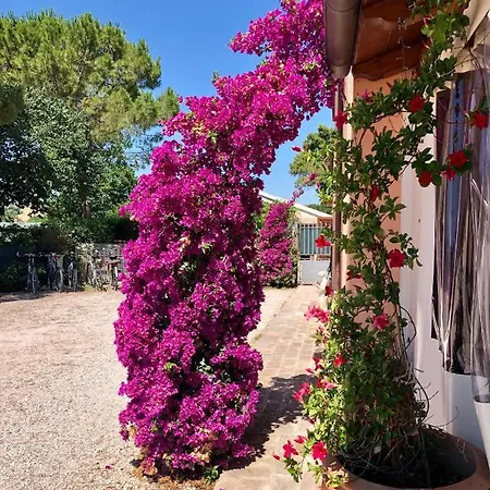 Bed & Breakfast Fontebella *