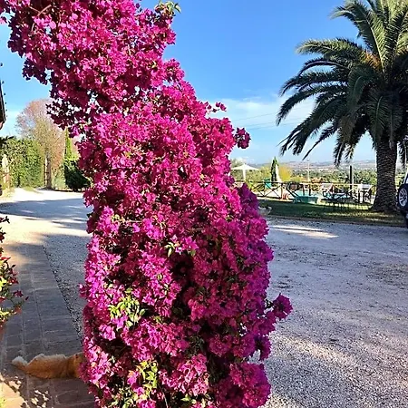 Fontebella 3*