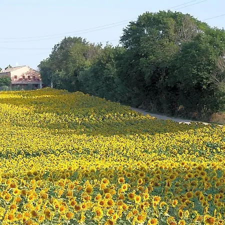 Fontebella مونتيهمارثيانو