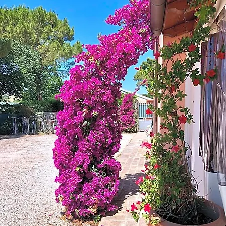 Fontebella فندق مبيت وإفطار مونتيهمارثيانو