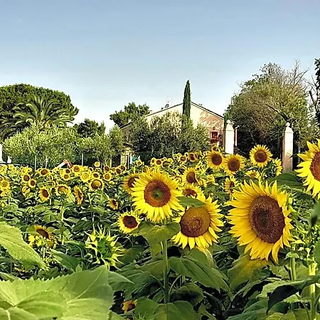 Fontebella فندق مبيت وإفطار