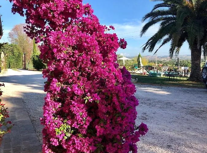 Fontebella Bed & Breakfast Montemarciano