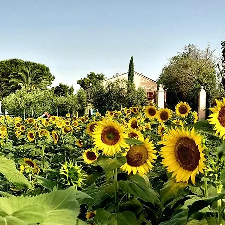 Fontebella Bed & Breakfast *