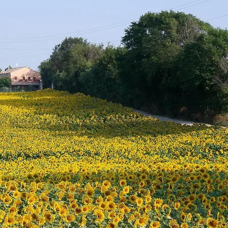 Bed & Breakfast Fontebella